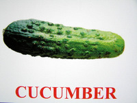 cucumber