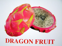 dragon_fruit