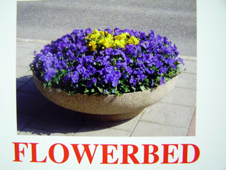 flowerbed