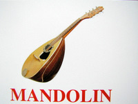 mandolin