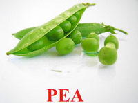 pea