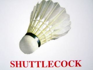 shuttlecock